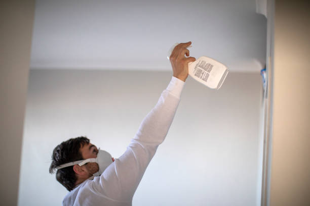 Best Office Mold Removal Services  in Leesburg, OH