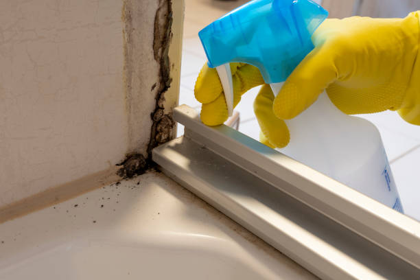 Best Mold Testing  in Leesburg, OH
