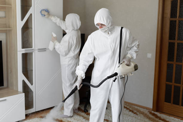 Best Office Mold Removal Services  in Leesburg, OH