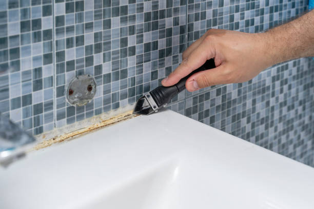 Best Fast Mold Removal  in Leesburg, OH