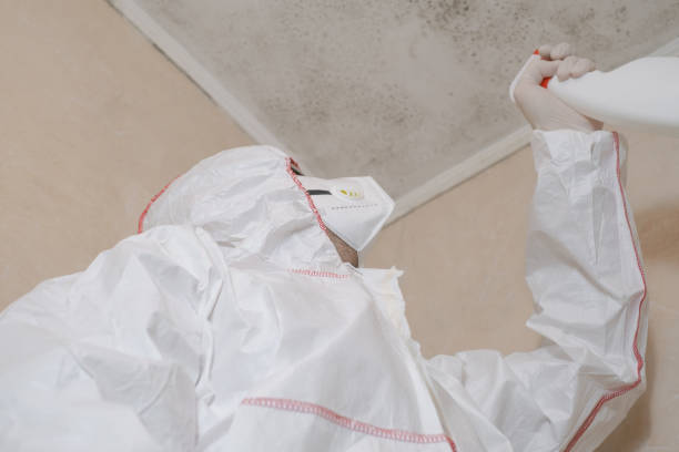 Office Mold Removal Services in Leesburg, OH
