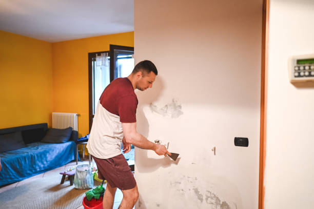 Best Mold Damage Repair  in Leesburg, OH
