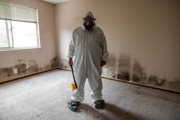 Leesburg, OH Mold Removal Company